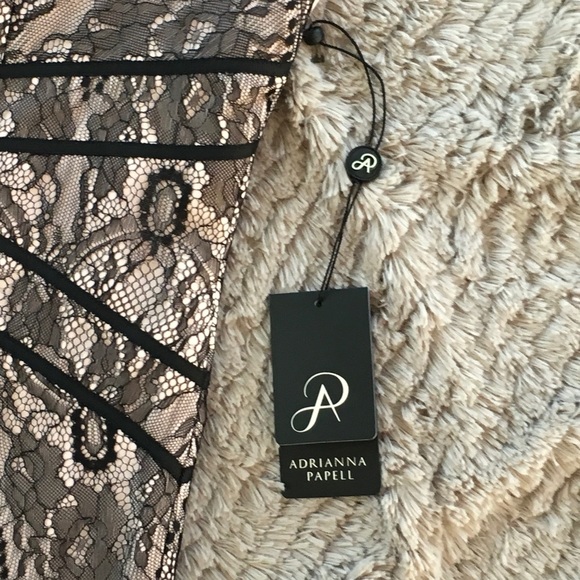 Stitch Fix Adrianna Papell pink lace dress - Picture 4 of 8